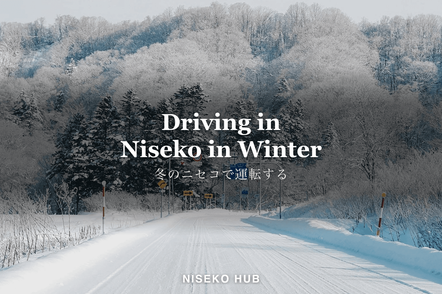 冬のニセコで運転する｜雪道・スタッドレス・ホワイトアウトと、借りる前に確かめること