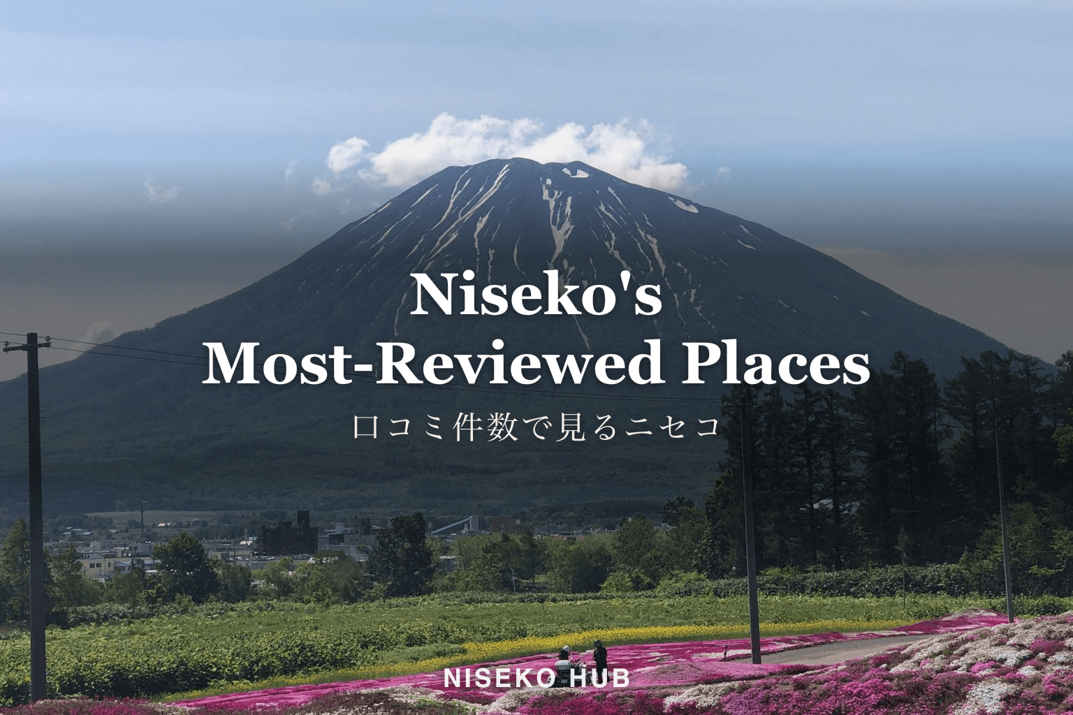 ニセコの人気スポット・人気店はどこ?口コミ件数で見る上位10【2026年10月】