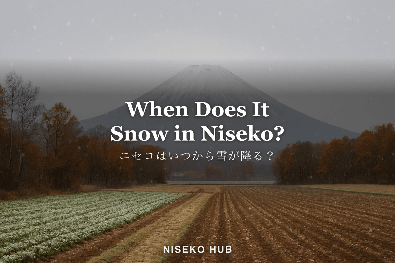 ニセコはいつから雪が降る?過去6年の12月の積雪と、今の雪を確かめる方法【2026-27】
